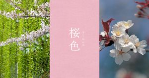 都の春をやさしく彩る【桜色（さくらいろ）】京都のいろ・卯月　第7回