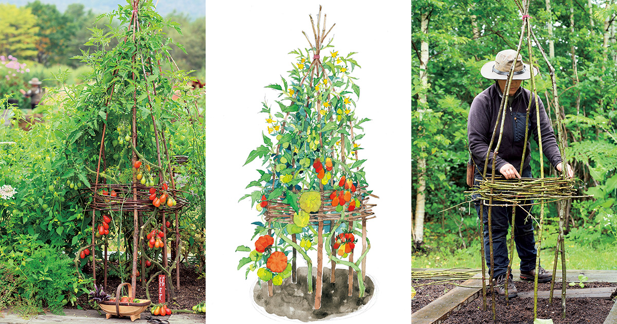 自然素材で作る憧れのウィグワム。「鈴なりトマトタワー」の作り方を解説