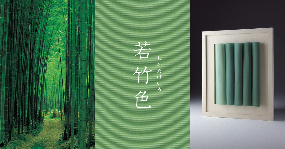刻一刻と変化する清らかな緑【若竹色】京都のいろ・水無月 第11回