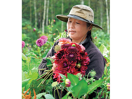 育てて摘んで生ける楽しみ、始めませんか。深い赤が輝くパッション