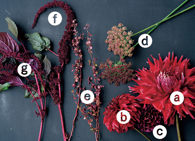 育てて摘んで生ける楽しみ、始めませんか。深い赤が輝くパッション