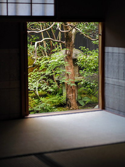 美しい初秋のご馳走。井政の「茶福箱」でプチ茶会 ふくいひろこ「京都