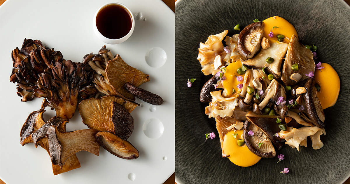 金時草の力 （6箱分） 【公式通販】