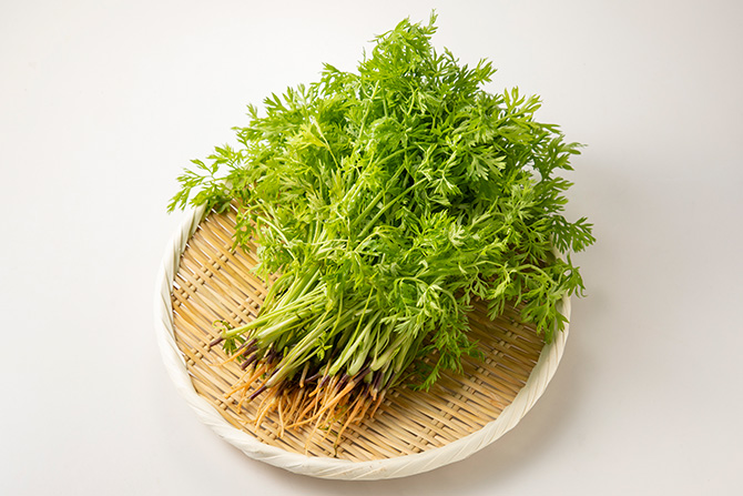 爽やかな香味野菜、にんじん葉で、マンネリ気味の食卓をリフレッシュ