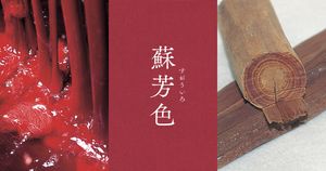 日本人が魅せられた、異国から届いた「赤」の美しさ【蘇芳色（すおういろ）】京都のいろ・霜月　第21回