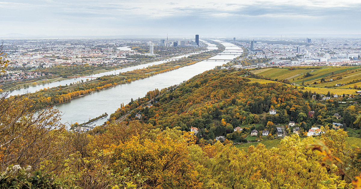 青きドナウを想い、音楽の生まれたウィーンの森を散策する