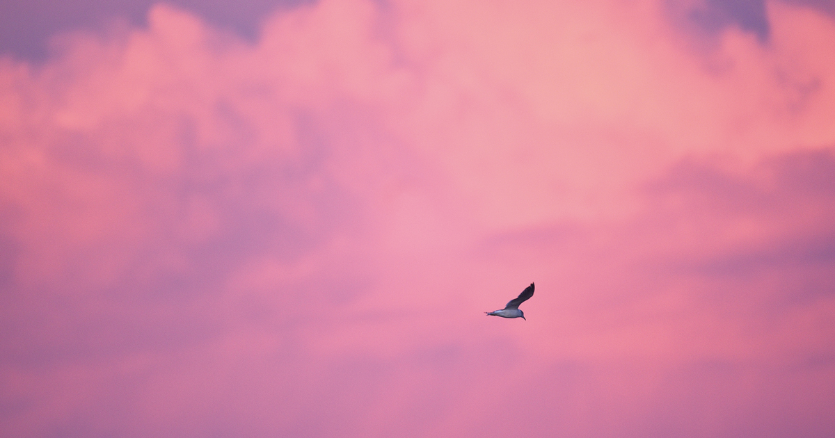 【パンダの工房】九紫火星デザインプレゼント恋愛成功幸福念願達成学業順調女性健康 M1878.jpg