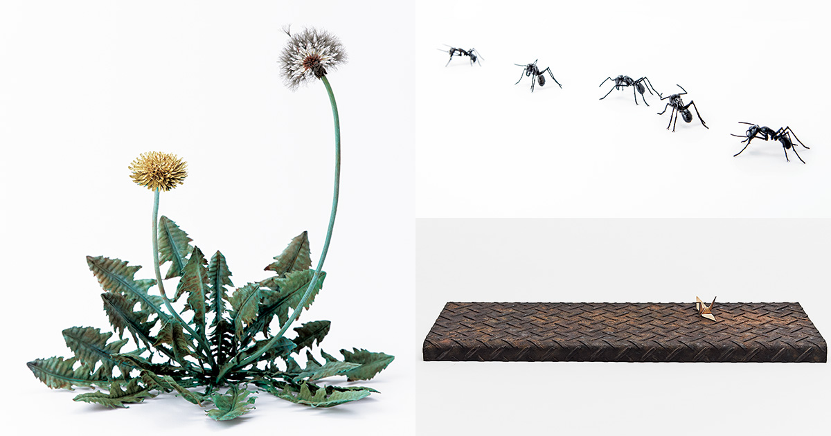 main_317c3304ce4afc516a624f8d0