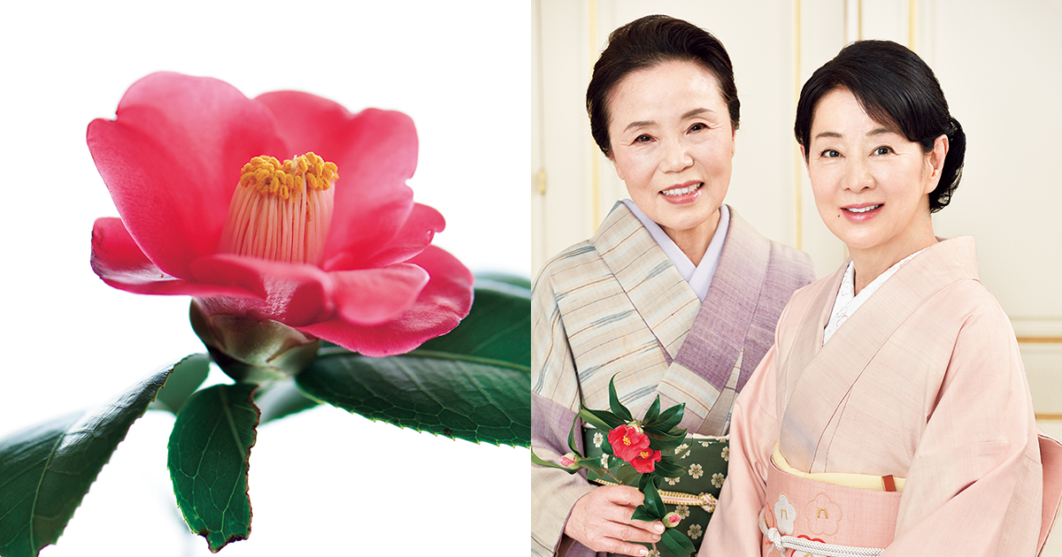 希望に満ちた植物の力。吉永小百合さん、志村洋子さん「五島の椿に魅せ