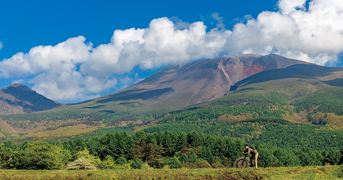 main_a8962ede7c1d6b7c3b21ffcb5