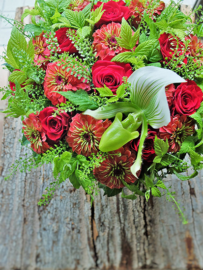 美しさとボリューム感は、まさに王の風格！「ジニア」の新品種'キング