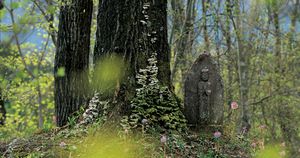 今森光彦さん、農家になる。山の神様からの贈り物