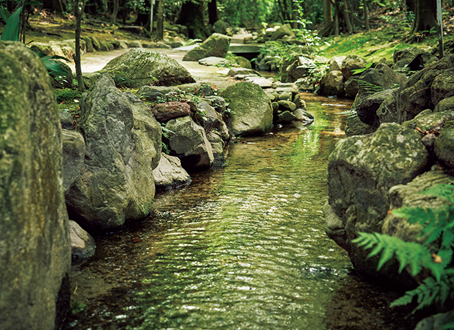 石と水の意匠　植治の造園技法 石と水の意匠: 植治の造園技法 | 尼崎 博正, 田畑 みなお |本