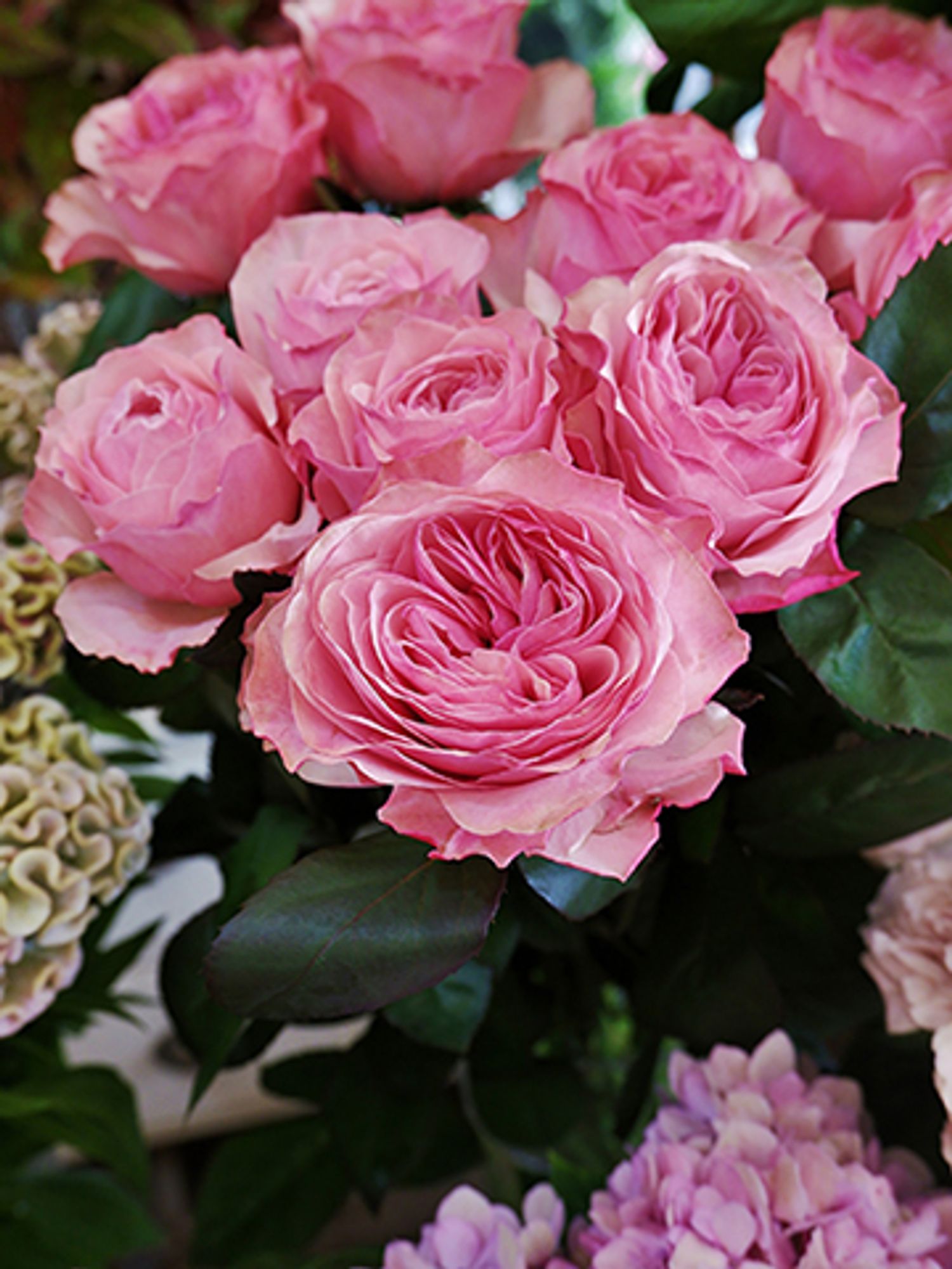 ヴィクトリアンプリント薔薇の4点盛りだくさんお楽しみ袋ペーパー 