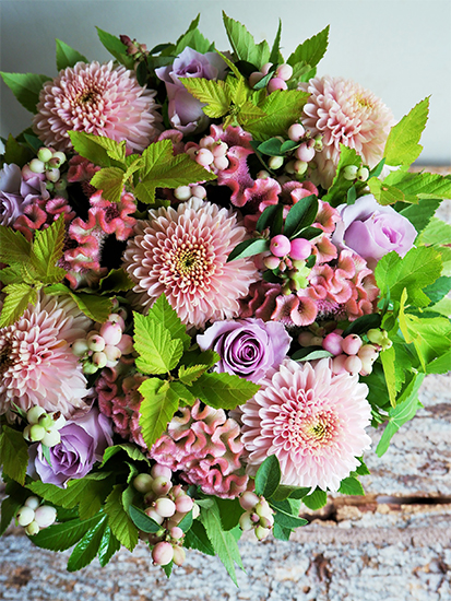 11月6日は「いいマムの日」。花色がよく、大きなマムが楽しめるチャンス