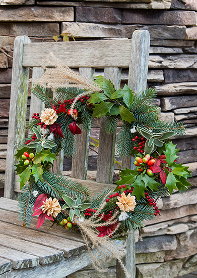 クリスマスホーリー」という名の植物は？ キリスト教では重い意味を