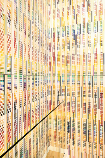 現代アートの目利きに聞く、未来の巨匠・気鋭芸術家の見つけ方