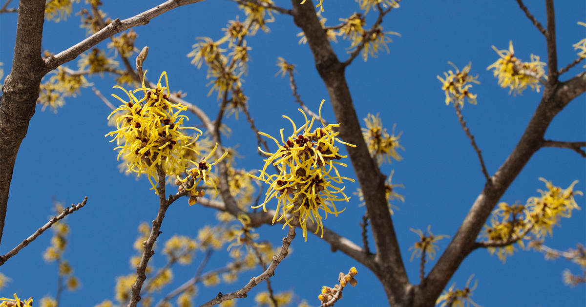 main_41f00fdfb0132993af8d17aa6