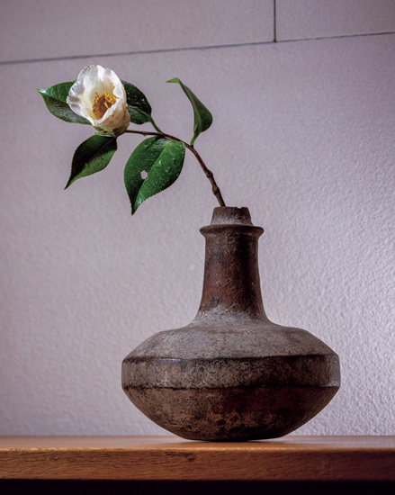 谷松屋戸田商店 戸田博さんが語る季節の茶花。3月侘助「蕾が宿すいのち