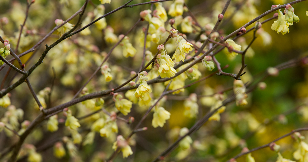 main_b82b4d6ced623530dd9006944