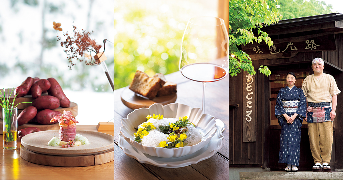 main_e139239d688596bc4fefe3681