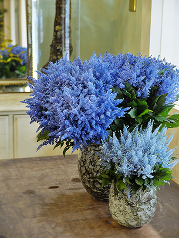 ✨MIX40本【】アスチルベ ライトブルー アイブルー 生花 スワッグ 染め