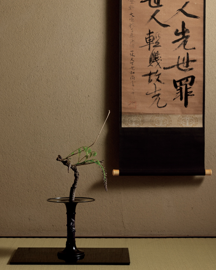 4月の花 袋藤「炉の終わりを迎える頃」戸田博さん連載・季節の茶花