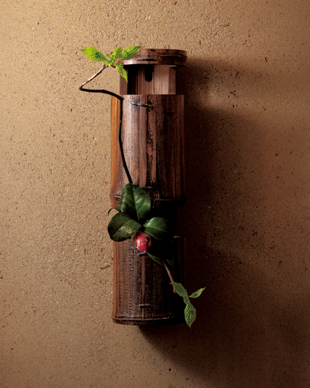 4月の花 袋藤「炉の終わりを迎える頃」戸田博さん連載・季節の茶花