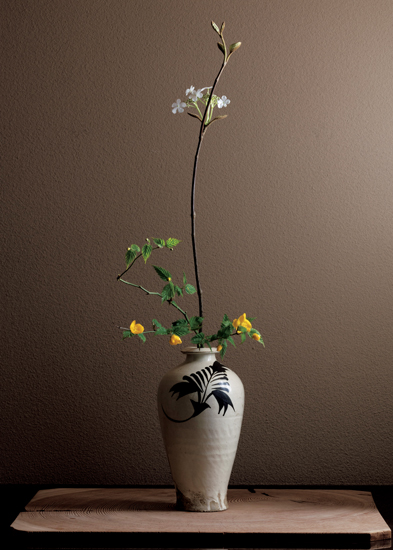 4月の花 袋藤「炉の終わりを迎える頃」戸田博さん連載・季節の茶花