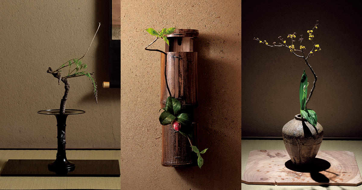 4月の花 袋藤「炉の終わりを迎える頃」戸田博さん連載・季節の茶花