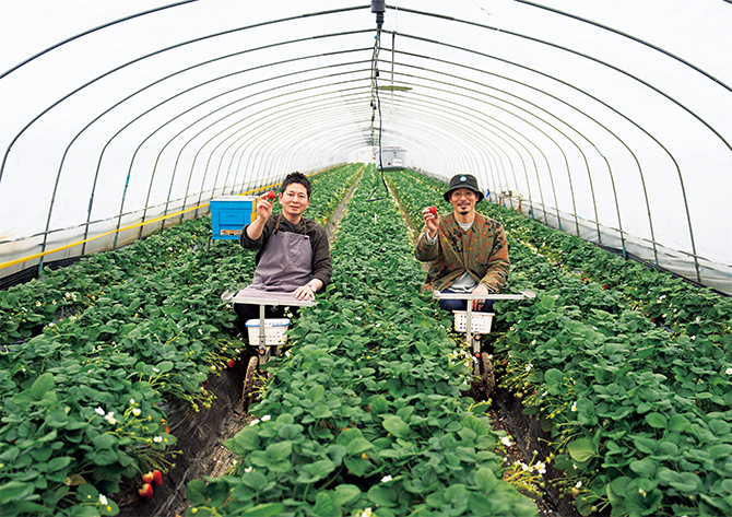 農園×ジェラート店！ 新しいスタイルのいちご農家、栃木・下野の「伊澤