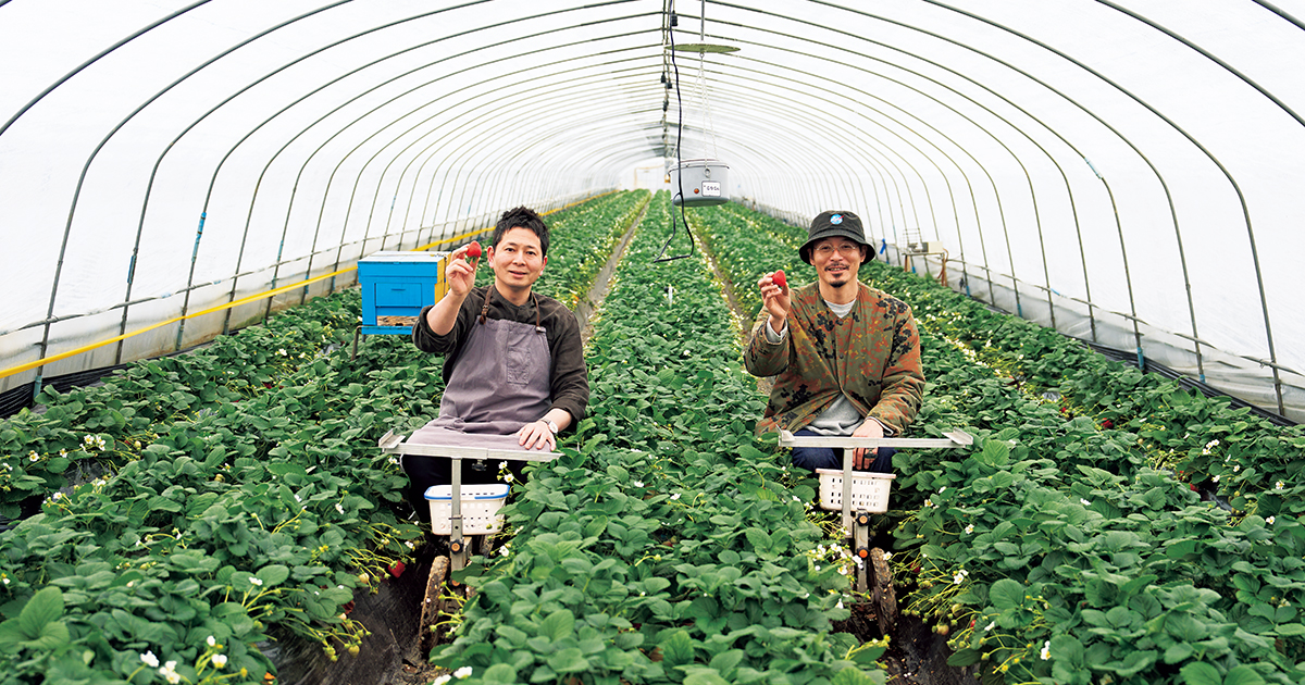 農園×ジェラート店！ 新しいスタイルのいちご農家、栃木・下野の「伊澤