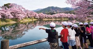 小学校の4年生がきっかけとなり、桜並木が復活。児童たちが守る“ふるさとの桜風景”