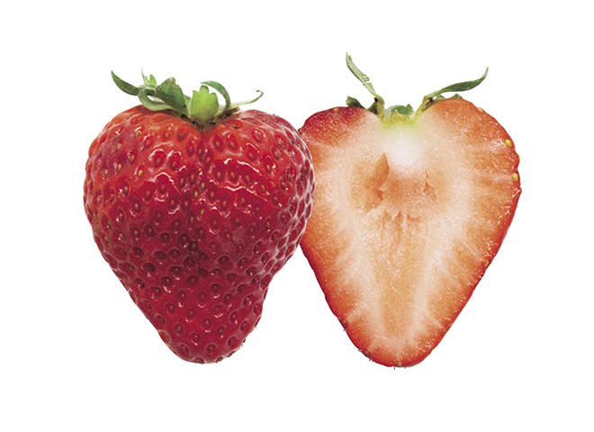 いちご ⑩✖︎2 都道府県に聞く、2023年のいち押し品種は？ 日本全国いちご図鑑 | 家庭