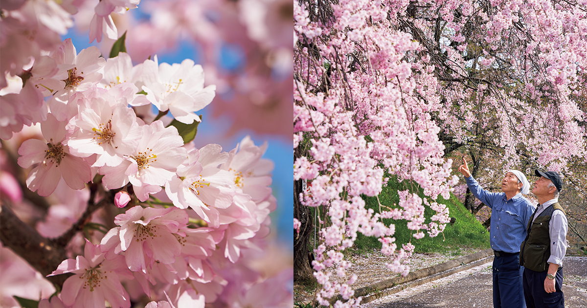 main_e151f8e70cf0ef04e6c81a3f1