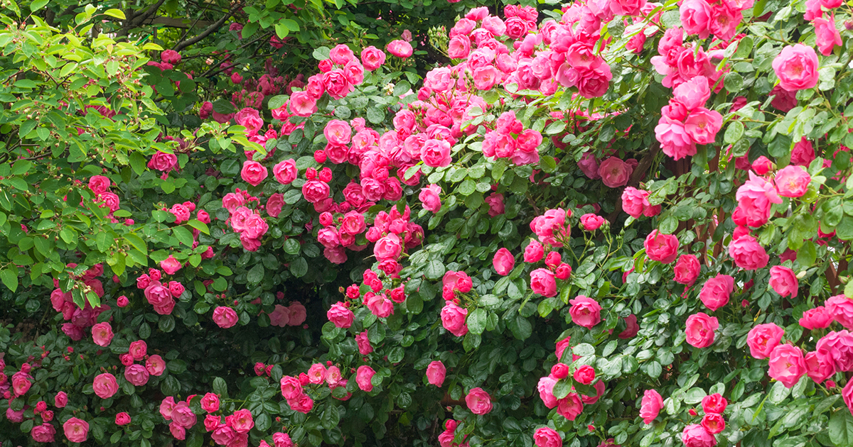 main_02f7fcb75e58b72c4f05d8f0d