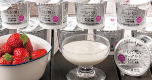 アンチエイジング効果が期待できるヨーグルトを茨城県で発見！