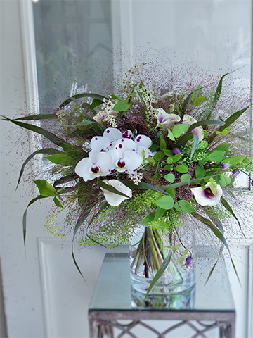 夏にもおすすめ。高級感たっぷりな「ファレノプシス（胡蝶蘭）」の