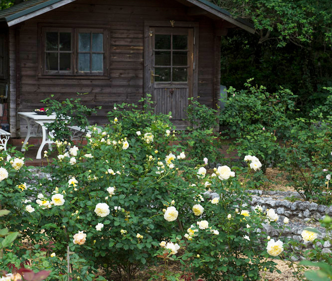 優雅な香りで心をリフレッシュ。4月上旬までが見頃の千葉・クリスマス