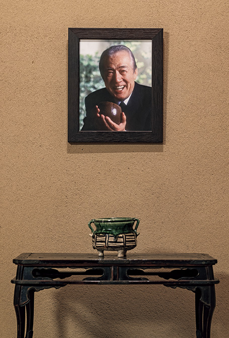 11月の花 水仙「追善の茶事」戸田博さん連載・季節の茶花 | 家庭画報