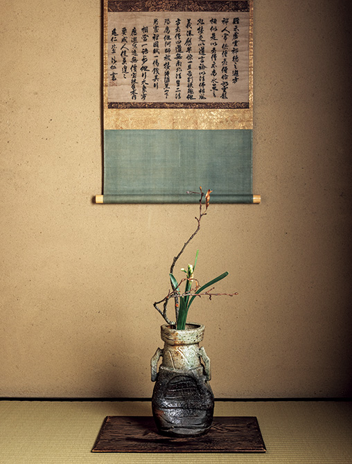11月の花 水仙「追善の茶事」戸田博さん連載・季節の茶花 | 家庭画報