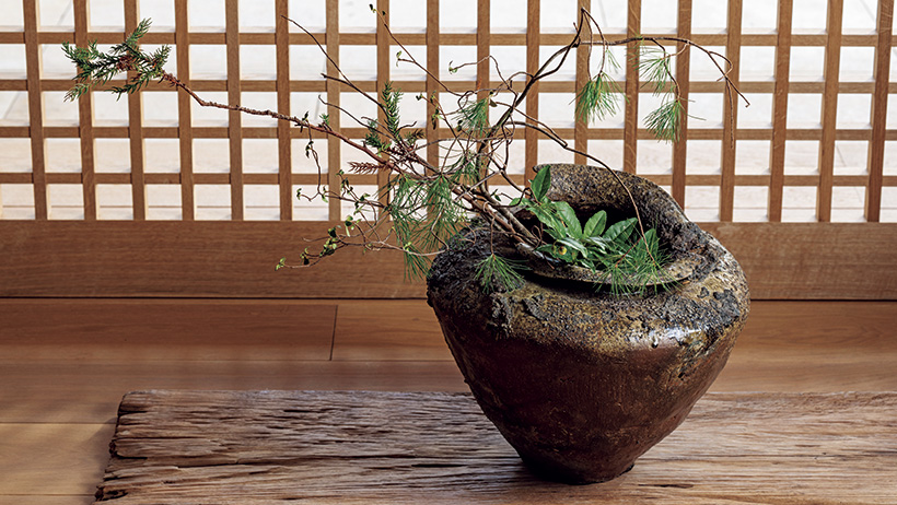 11月の花 水仙「追善の茶事」戸田博さん連載・季節の茶花 | 家庭画報