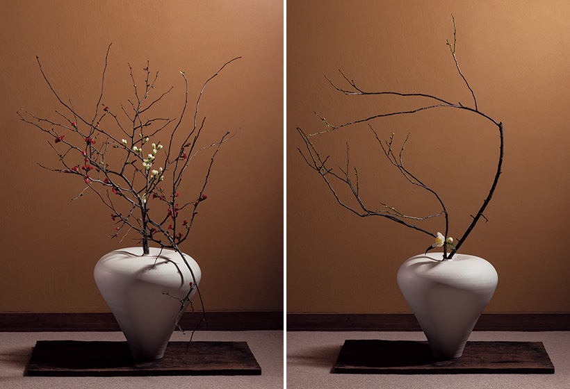 2月の花 西王母椿「代替わりの茶事」戸田博さん連載・季節の茶花