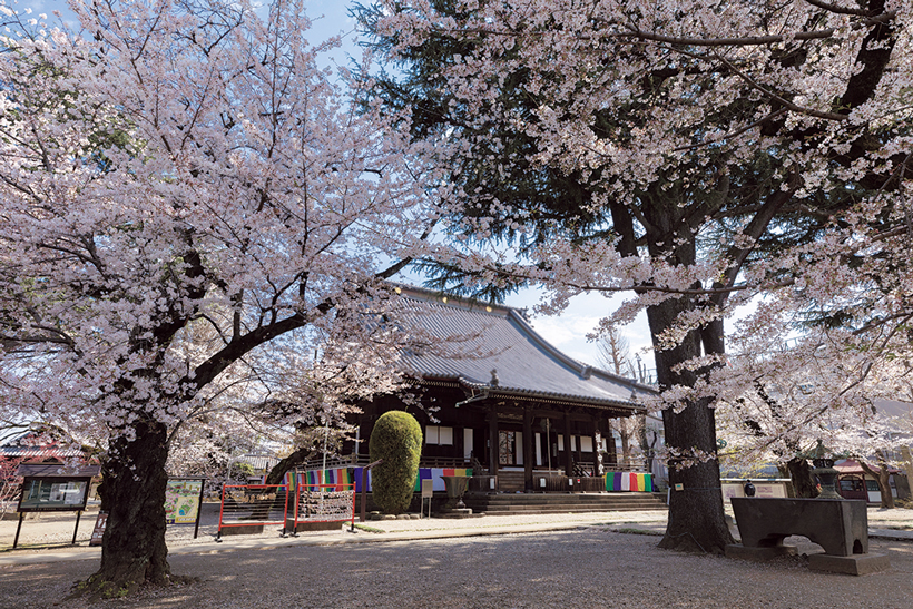 手塚雄二・龍を描く 第1回】創建400年東叡山寛永寺に天井絵を奉納