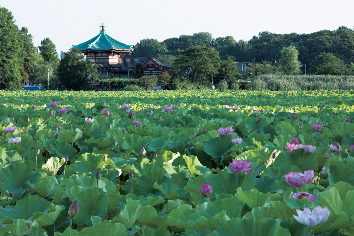 手塚雄二・龍を描く 第5回】上野 東叡山寛永寺の魅力。天海僧正の