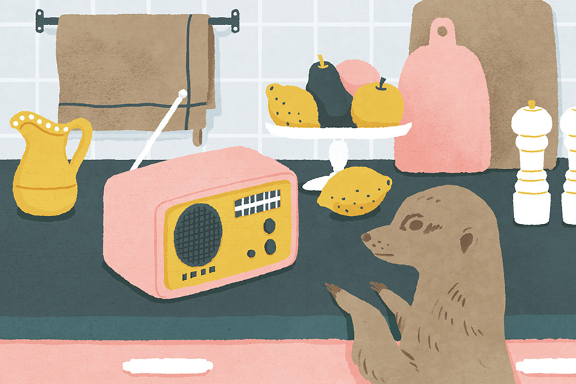 マーブルシュッド ✿∴☼夜の野原と森の動物　Nocturne　ノクターンシリーズ マーブルシュッド ✿∴☼夜の野原と森の動物 Nocturne ノクターン