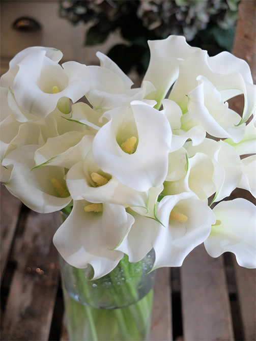 時代を超えて人気の花「カラー」。洗練された美しさのブーケ