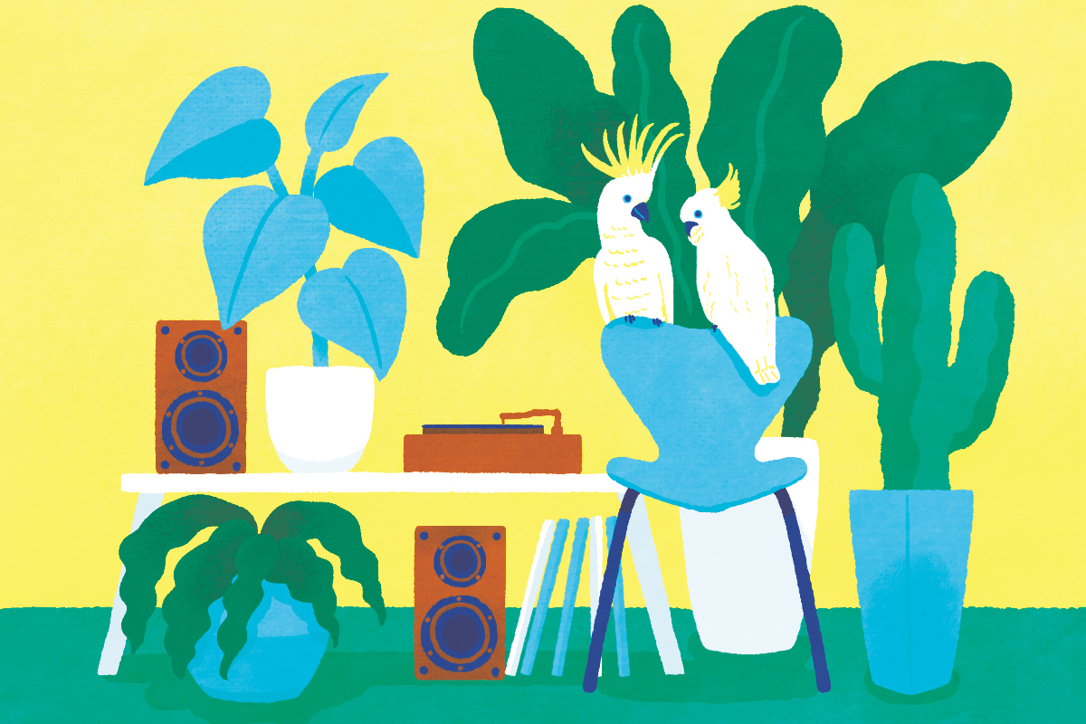 【信】ダリウス・ミヨー 幸福だった私の一生 自伝 フランス作曲家 ダリウス・ミヨー没後40年記念ボックス（10CD） : ミヨー