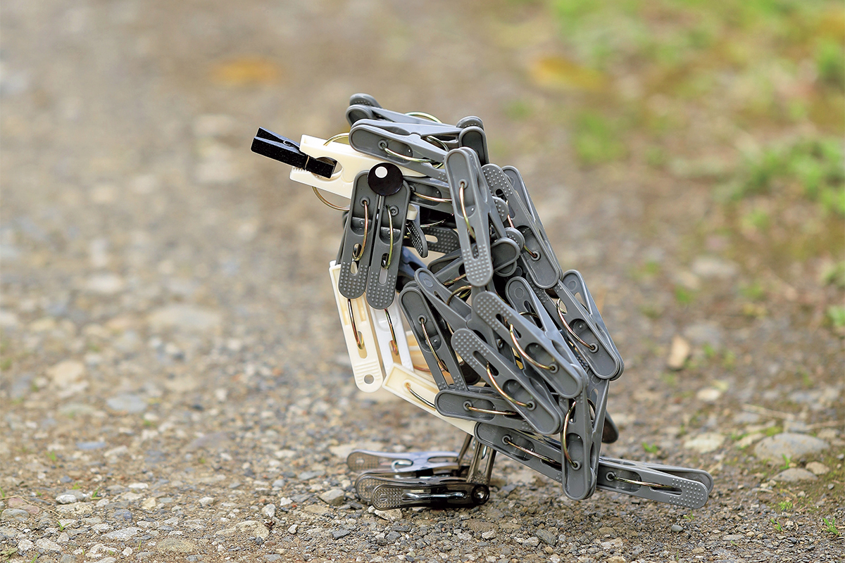 main_image_4703c2643f1098ced0a