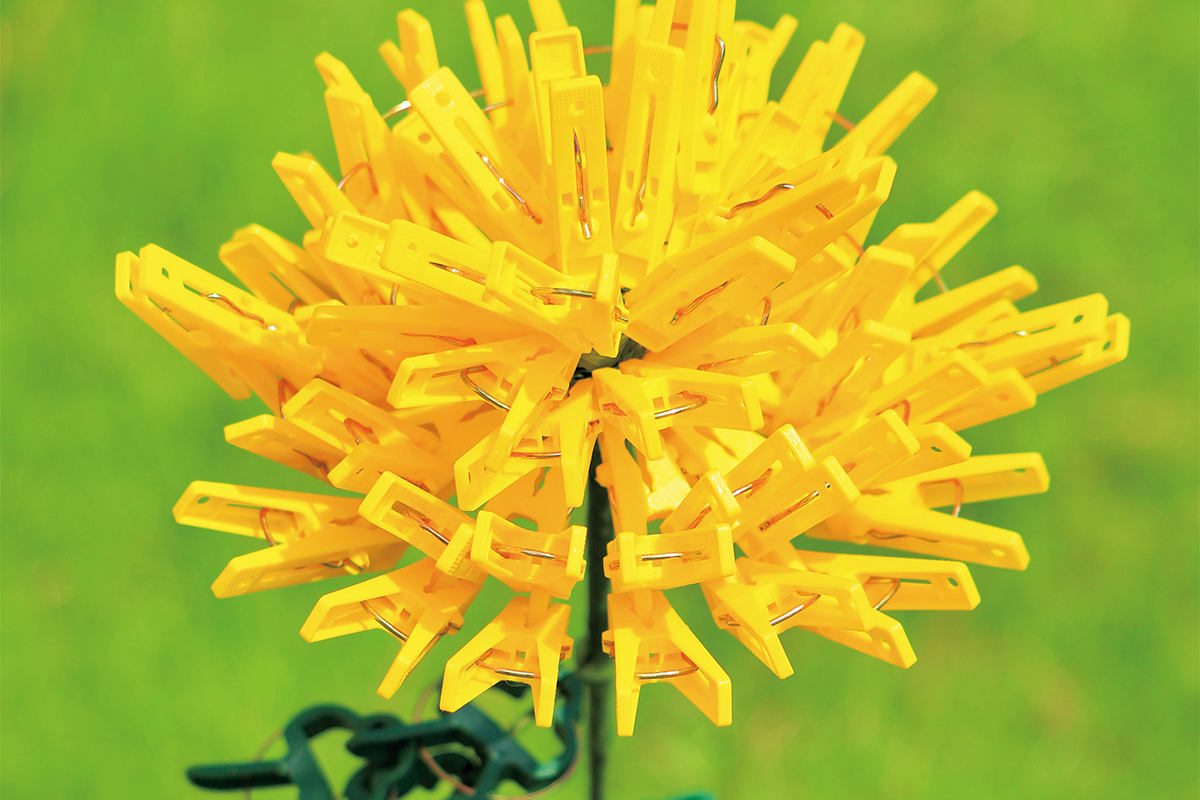 fireworks ホビー・楽器・アート 【未開封】白菊と黄菊ですが、それが何か